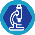 Home page MP draft - GDG edits 2