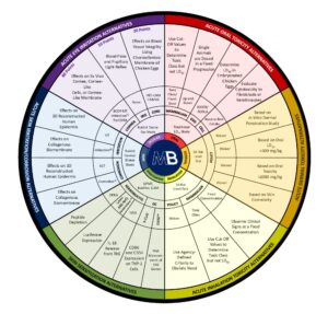 MB_Wheel_of_Alternatives 3