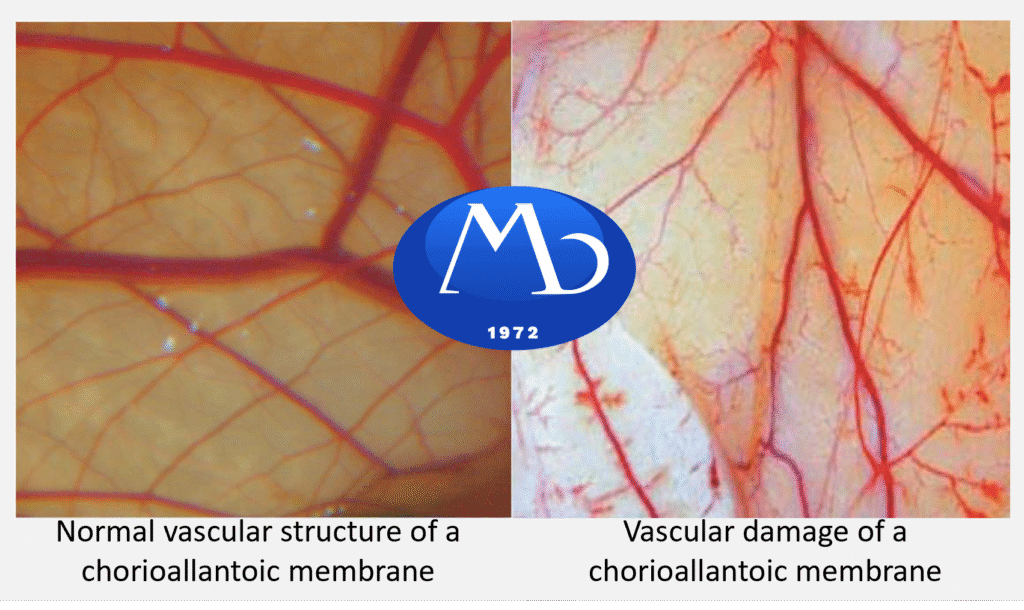 Understanding the HET-CAM Test: An Alternative Approach to Eye Irritation Testing 1 HET-CAM Chorioallantoic Membrane