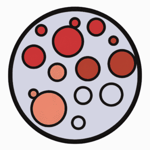 Ames Test 3 Ames Test 2